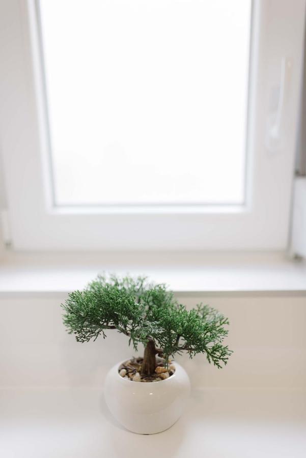 Ruza Apartmani 扎达尔 外观 照片